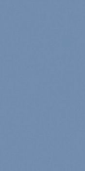 Керамогранит RAINBOW RW09 Непол.Рект 120