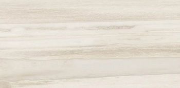 Керамогранит Petrified CORE WHITE LION LAPP 29