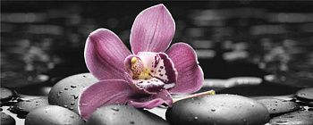 Декор Lana Спа Орхидея 1