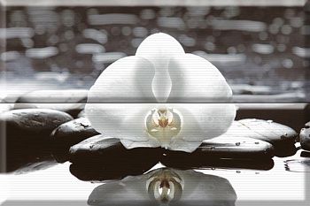 Панно Composicion Wellness White 01