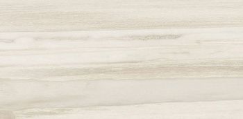 Керамогранит Petrified CORE WHITE LION RETT 30