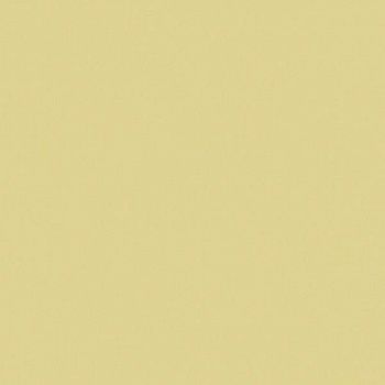 Керамогранит RAINBOW RW151 Непол.Рект. 60