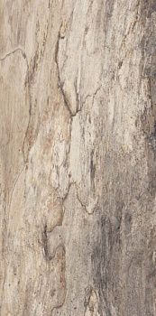Керамогранит Petrified BEIGE BARK RETT 45