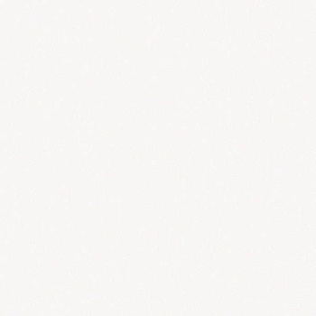 Керамогранит BARCELONA BLANCO 25x25