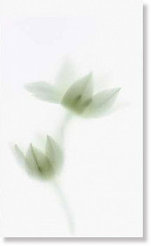 Декор 970040 TD1/001 NOVAGREY A/1