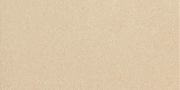 Керамогранит CONCEPT BEIGE (10мм) нат/ретт 30