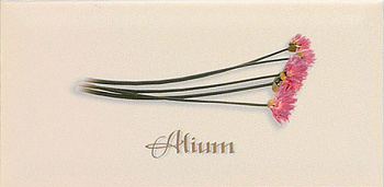 Декор Biselado Decor Crema Alium