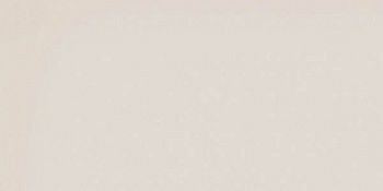 Керамогранит RAINBOW RW01 Непол.Рект.