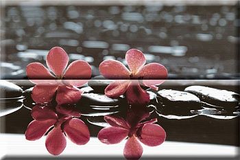 Панно Composicion Wellness Red 02