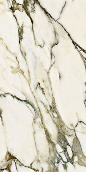 Керамогранит Ambassador Calacatta Venato Glossy (CV20218)