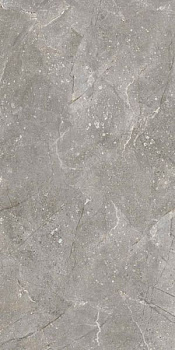 Керамогранит Dedalo Ceniza R