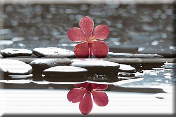 Панно Composicion Wellness Red 01