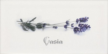 Декор Biselado Decor Blanco Casia