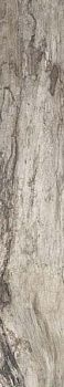 Керамогранит Petrified GREY BARK RETT 15