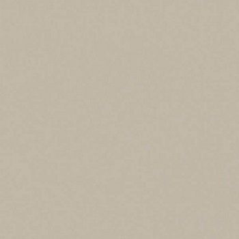 Керамогранит RAINBOW RW031 Непол.