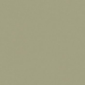 Керамогранит RAINBOW RW061 Непол.Рект. 60