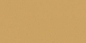 Керамогранит RAINBOW RW152 Полир.