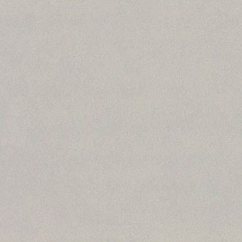 Керамогранит LF01 неполированный