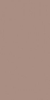 Керамогранит RAINBOW RW08 Непол.Рект 120