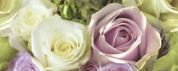 Декор Rosalie Роза 1