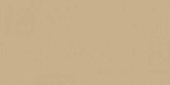 Керамогранит RAINBOW RW15 Полир.