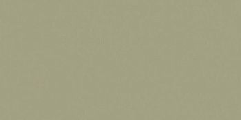 Керамогранит RAINBOW RW061 Полир.