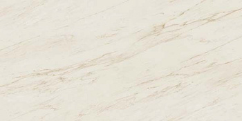 Керамогранит Marvel Cremo Delicato (D103)