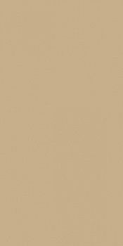 Керамогранит RAINBOW RW15 Непол.Рект 120