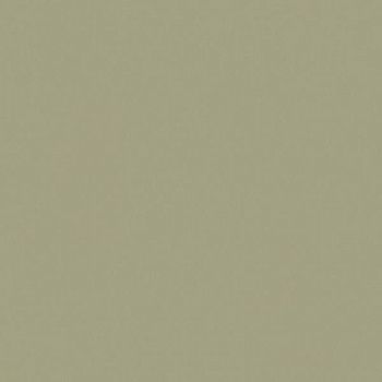 Керамогранит RAINBOW RW061 Полир 60