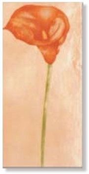 Вставка Preziosa Arancio Flow