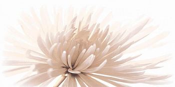 Декор Emma (C-EA2L051D)