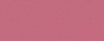 Настенная плитка Городские цветы 7081T розовый