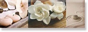 Декор  Decor Aure Spa Zen 02 AK0911