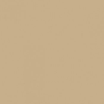 Керамогранит RAINBOW RW15 Полир. 40