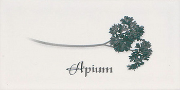 Декор Biselado Decor Blanco Apium