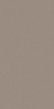 Керамогранит RAINBOW RW041 Непол.Рект 120