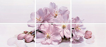 Панно Alba  Aple (6 шт)