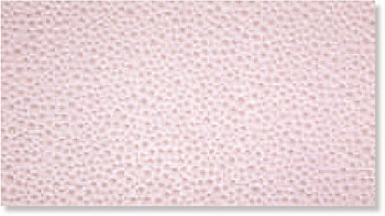 Декор PIOGGIA ROSA INSERTO