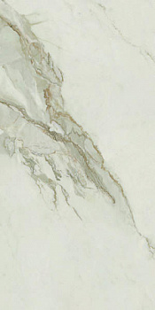 Керамогранит Pav. Calacatta gold nat 60х120
