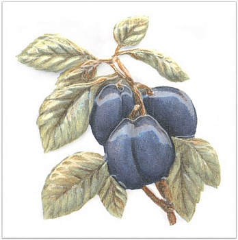 Декор TFA007 Оранжерея Слива