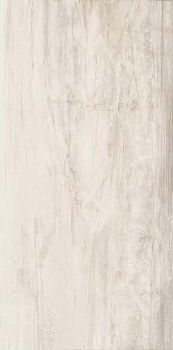 Керамогранит Petrified CORE WHITE LION RETT 45