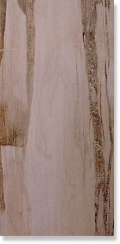 Керамогранит Epokal PLUS EK11