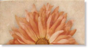 Декор Décor Dalia Ocre